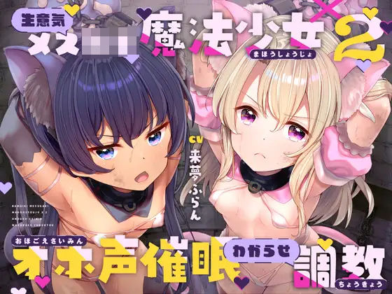 【中出し】【】生意気メ○○キ魔法少女×2オホ声催○わからせ調教｜ラムネ屋