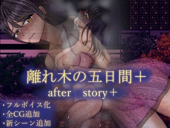 【人妻・主婦】【】離れ木の5日間 after story＋｜空上