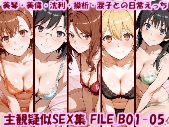 【イラスト・CG集】【】主観疑似SEX集 FILE_B01-05 美琴・美偉・沈利・操祈・涙子との日常えっち｜美乳淫