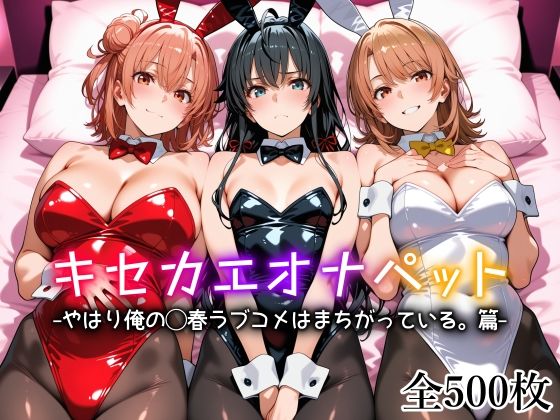 【制服】【】キセカエオナペット -やはり俺の◯春ラブコメはまちがっている篇-｜愛玩ファクトリー